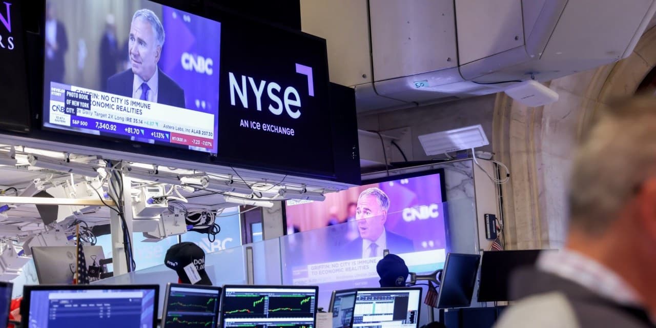 AI Stock Rout Sees 67% Drop in July