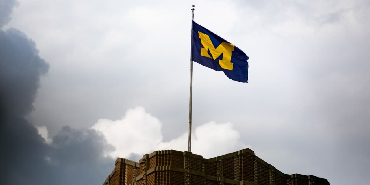 Michigan omits details on sports probe