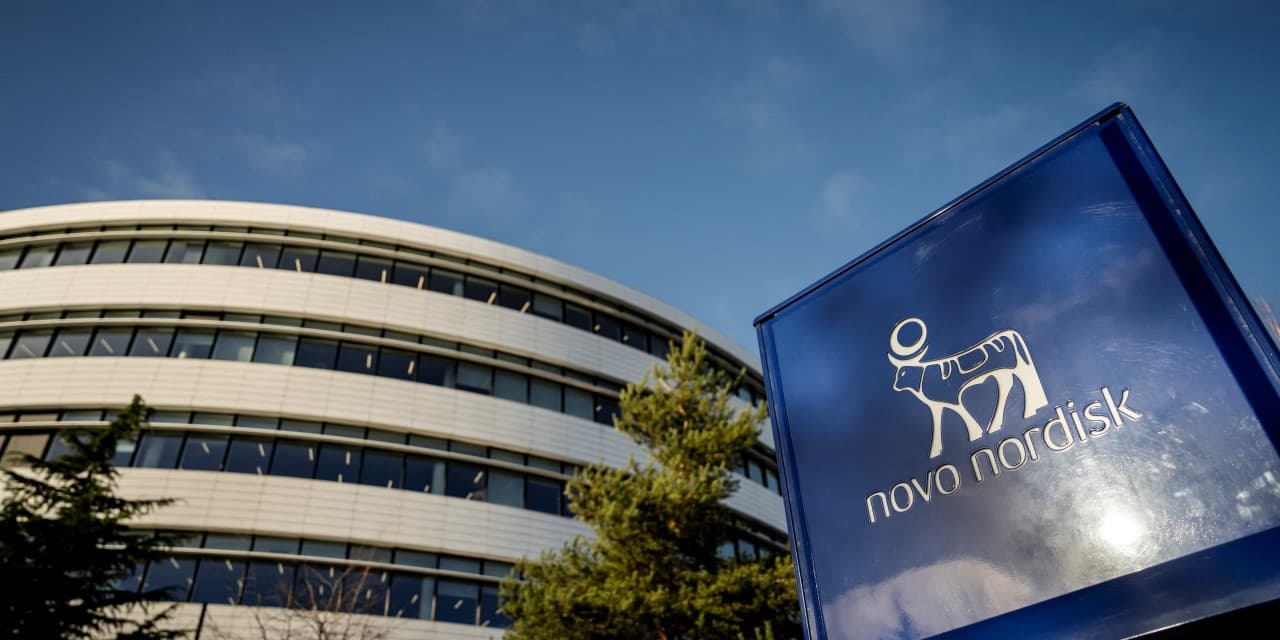 Novo Nordisk Sues Eli Lilly Over Advertising