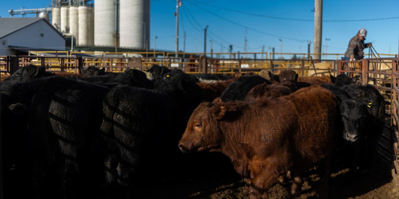 Tyson Foods to Close More Beef Facilities