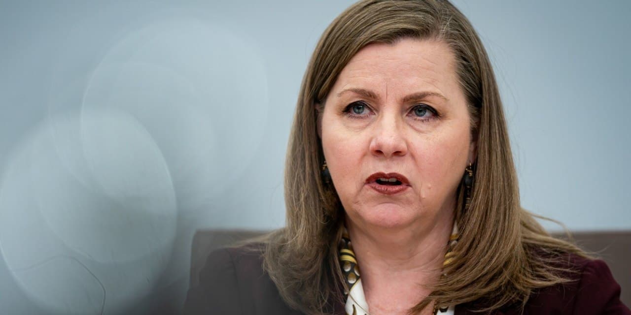 Fed Can Delay Rate Moves, Bowman