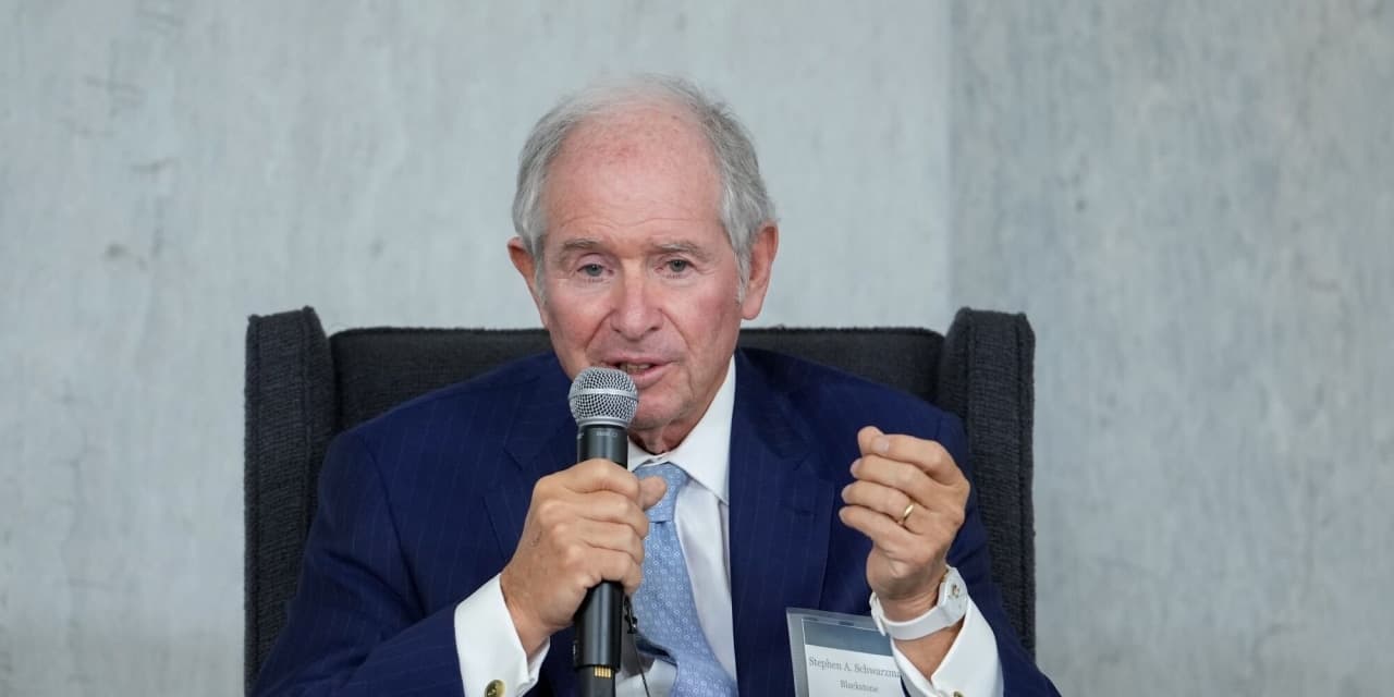 Blackstone's Main Sectors Affected by Rate Hikes