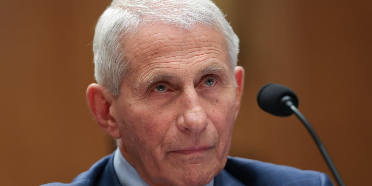 Fauci's Fifth Amendment Use and 2026 Outlook