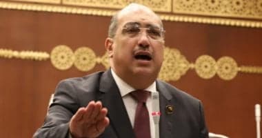 نائب بالشيوخ: زيارة الرئيس الصيني تفتح فرص استثمارية
