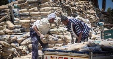 أسعار طن الأسمنت ثابتة اليوم