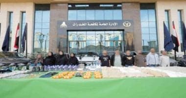 تفاصيل محطات سقوط سارة خليفة
