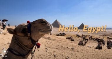 وسائل إعلام صينية ترحب بزيارة شي لمصر