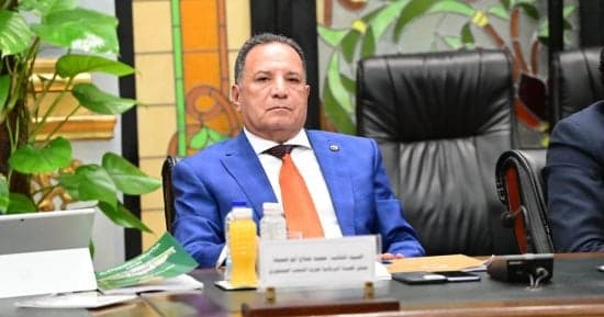 شئون عربية النواب: جولة الرئيس تدعم مكانة مصر الصناعية