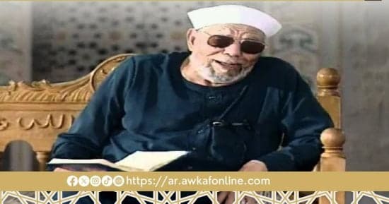 الشيخ الشعراوى يتحدث عن الرضا بالرزق