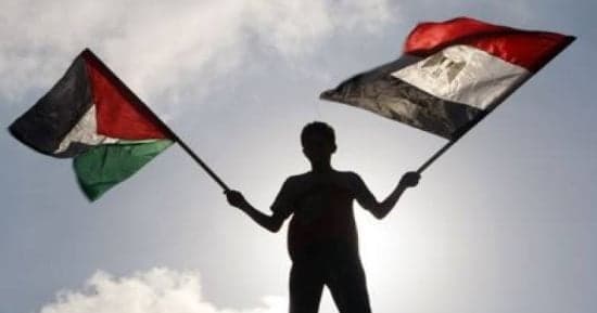 مصر تستمر في دعم حقوق الفلسطينيين