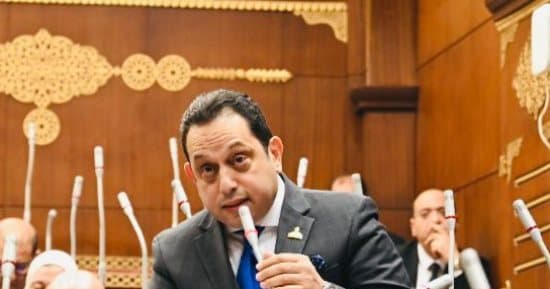 محمد الجندي يدعو لإعادة ترتيب أولويات الاستيراد