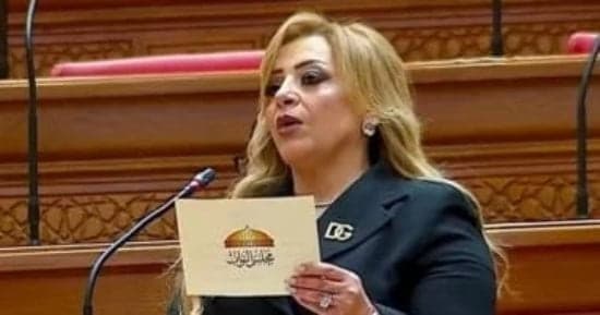 برلمانية: praises from Cyprus affirm Cairo's regional role