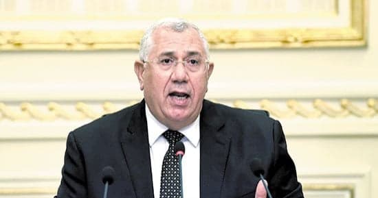 القصير: العلاقات المصرية السعودية دعامة للأمن العربي