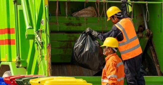 قانون العمل الجديد وربط التدريب بالوظائف