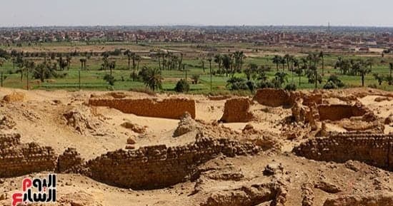 ملفات زراعة النواب تنتظر الحسم