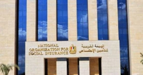 فئات العمالة غير المنتظمة قانونيا