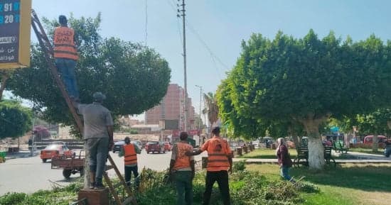 تحسين الشوارع والحدائق في الإسماعيلية