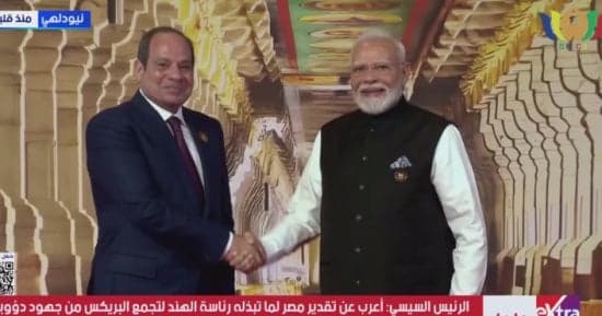 السيسي يروج لتعزيز التعاون بين جامعات مصر والهند