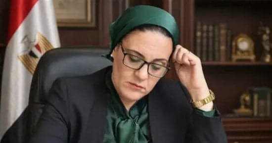 داليا الأتربى: مصر والسعودية تعزز الاستقرار العربي