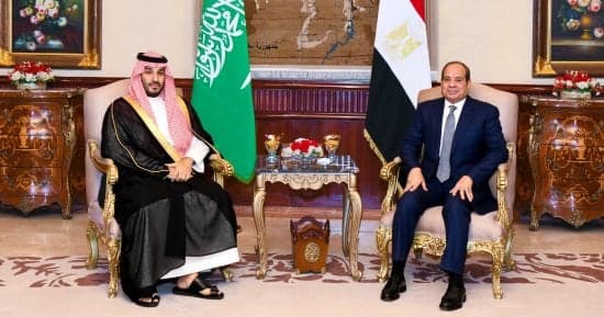 السيسي وبن سلمان يؤكدان على أمن الملاحة في هرمز وباب المندب