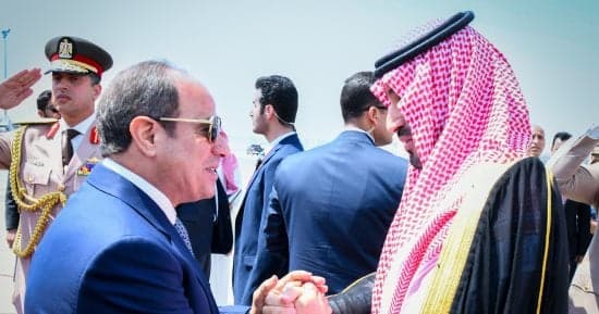 نائب: زيارة ولى العهد تعزز التعاون المصري السعودي