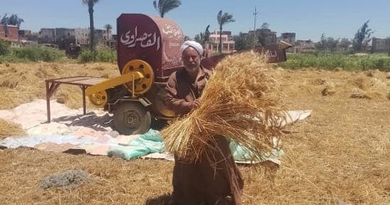 زراعة النواب تناقش 3 ملفات رئيسية