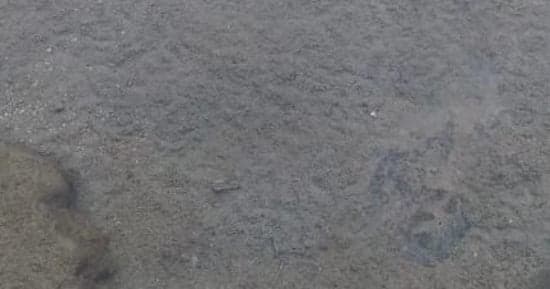 عين المياه المجلاه مقصد للحياة الطبيعيه