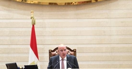 مجلس النواب يعلن خلو مقعد أمانى أبو سحلى