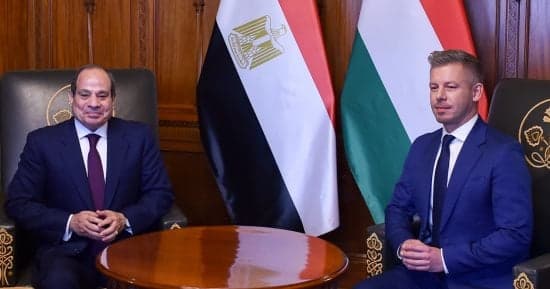 السيسي يحذر من التهجير