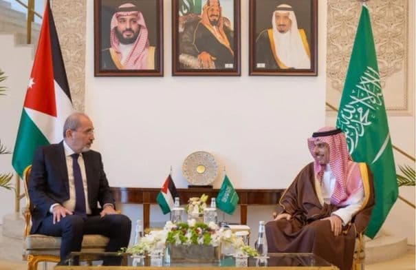 Al-Safadi discusses Gulf crisis management