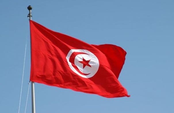 Tunisians Protest for Democracy