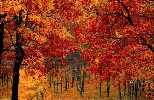 First day of autumn in Jordan