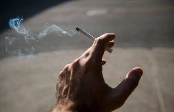 Amman Municipality steps up anti-smoking efforts in 2026