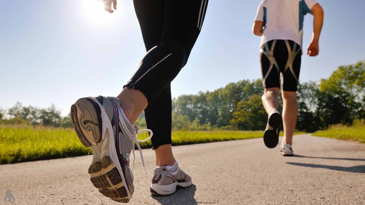 Brisk walking cuts early death risk