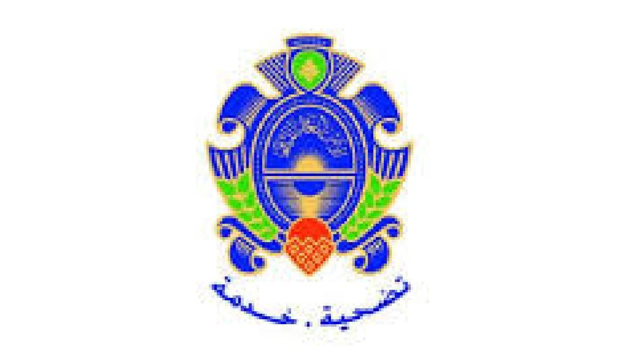 Security reactivates Nabatieh centers