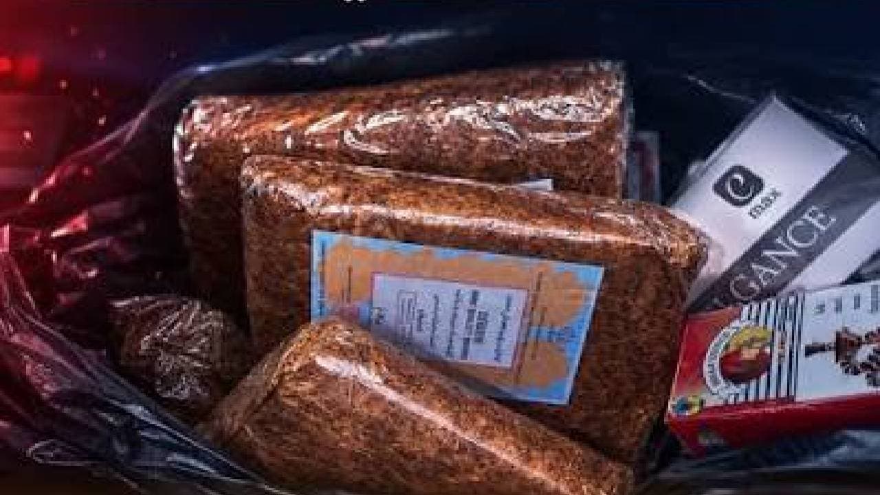 Regie Seizes Smuggled Tobacco in Sidon