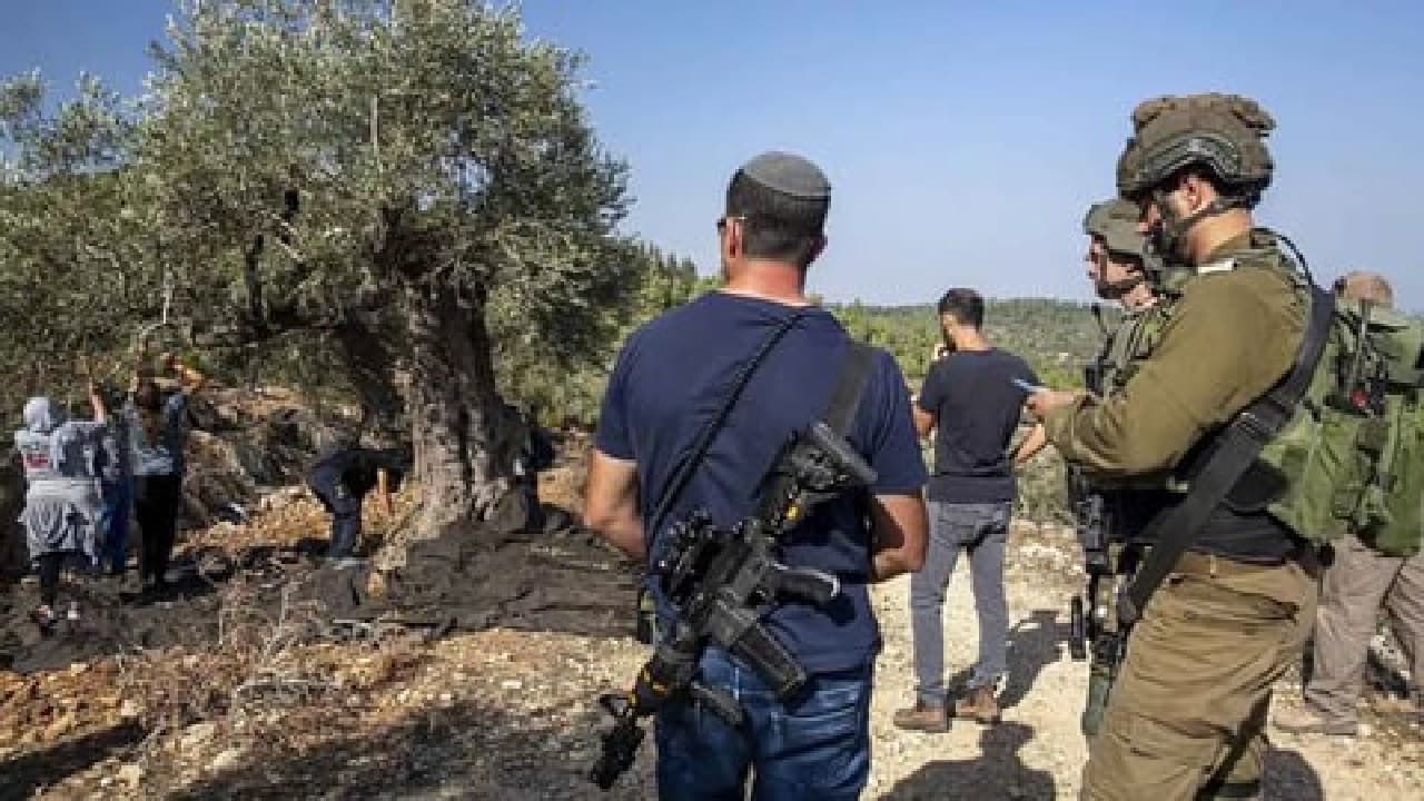 مستوطنون يهاجمون في الضفة