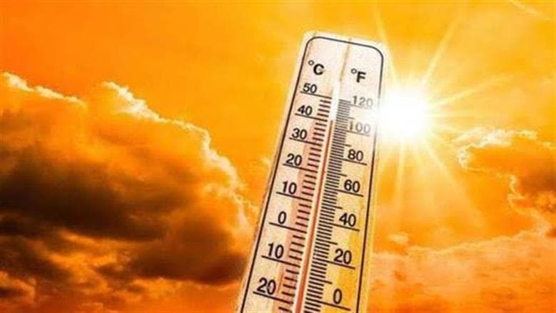 “الزراعة” تحذر من الطقس وتوصيات لحماية المحاصيل