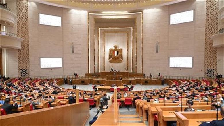 لجنة النواب توافق على إلغاء المادة 25