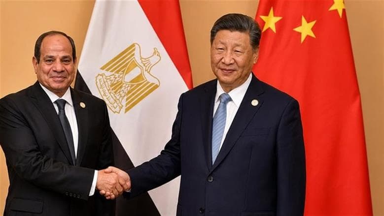 عبدالمنعم السيد يدعو للتحول إلى الإنتاج المشترك مع الصين