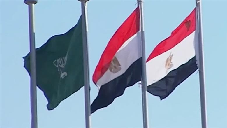 القاهرة والرياض.. تكامل شعبي وثقافي يدعم التعاون العربي