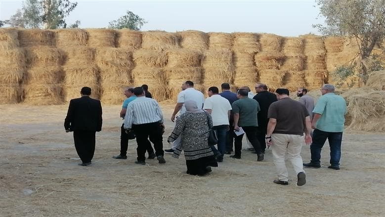 البيئة تراقب السحابة السوداء عبر الأقمار الصناعية