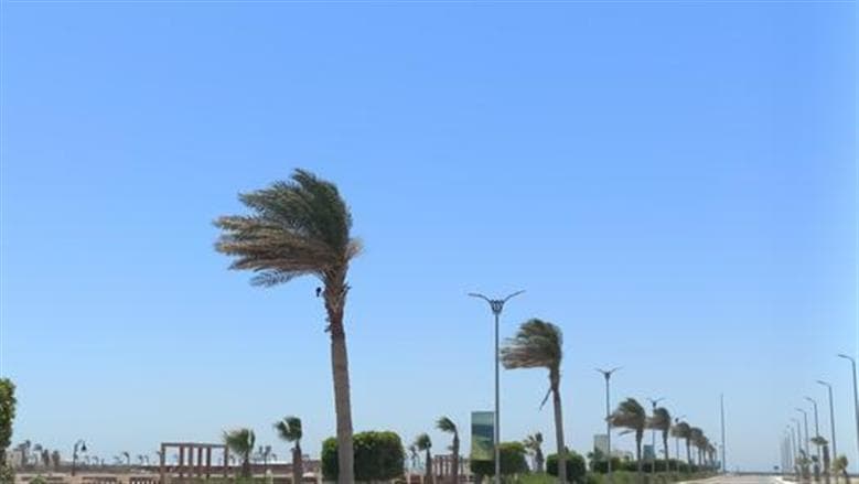مناخ الزراعة يتوقع تقلبات وأمطار