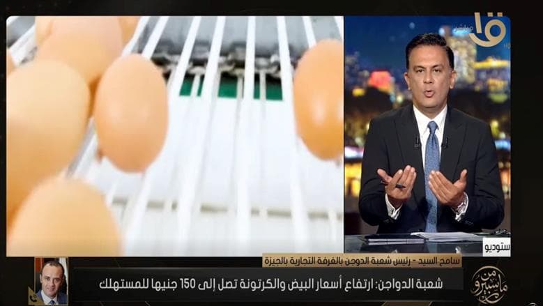 رئيس شعبة الدواجن: المدارس تعزز طلب البيض