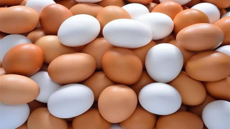 أسعار كرتونة البيض اليوم في السوق والمزارع