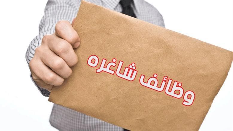 وزارة النقل تطرح وظائف سائقين براتب أعلى من 16 ألف جنيه