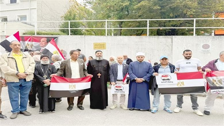 الخارجية تؤكد حماية المصريين بالخارج