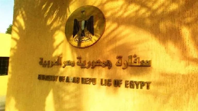 السفارة المصرية توضح حل مشكلة أطفال رياض الأطفال