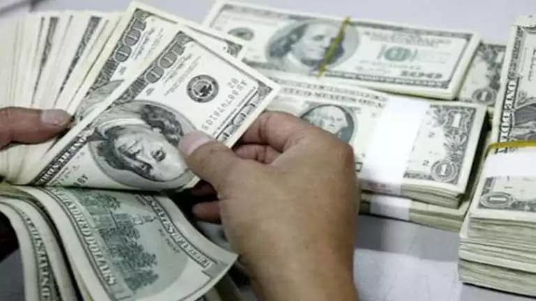 متهم يلفت 50 مليون جنيه عبر العقارات والتجارة
