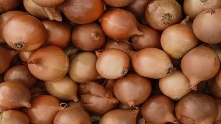 ياسمين عز تنتقد غلاء البصل